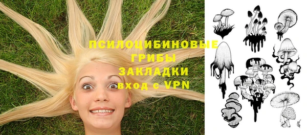 круглые Алзамай