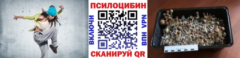 Псилоцибиновые грибы прущие грибы  ссылка на мегу вход  Николаевск-на-Амуре  цена наркотик 